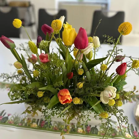 Piratenkajütte-b66 Apartamento Dranske